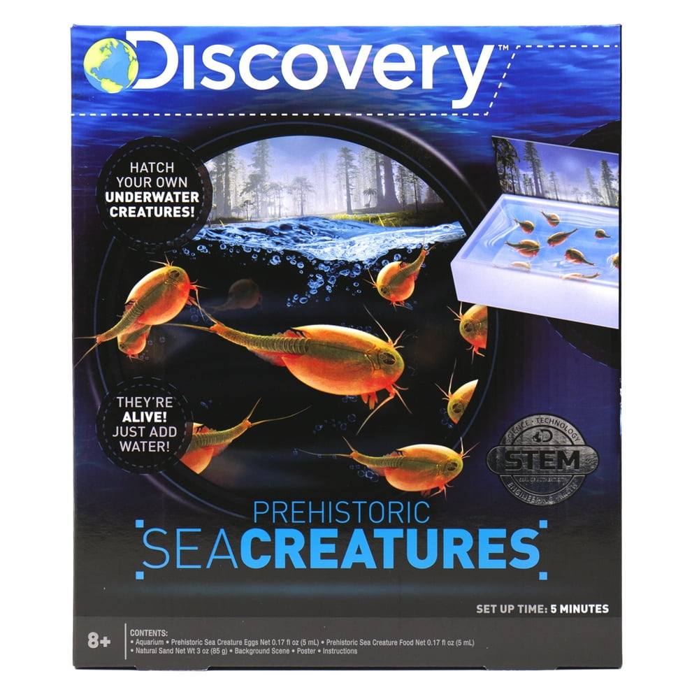 Discovery Prehistoric Sea Creatures, Sea Creatures Hatch and Grow, 8