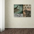 thumbnail image 3 of Trademark Fine Art "Cabela II" Canvas Art by Color Bakery, 3 of 3