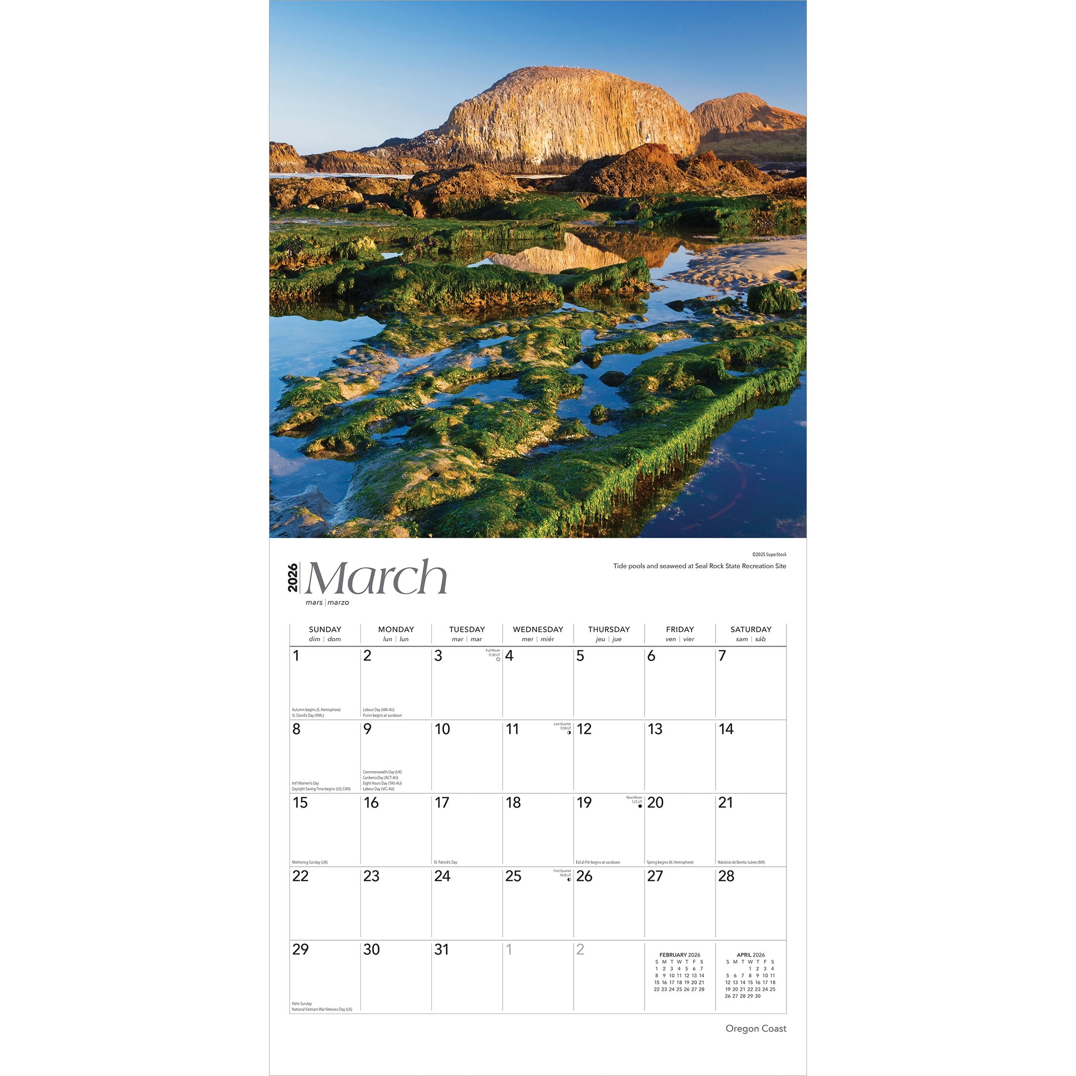 Oregon Coast | 2026 12x24" (Hanging) Wall Calendar | Plastic-Free | BrownTrout