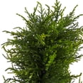 thumbnail image 5 of Nearly Natural Prelit 45" Spiral Cypress Artificial Tree UV Resistant, 5 of 7