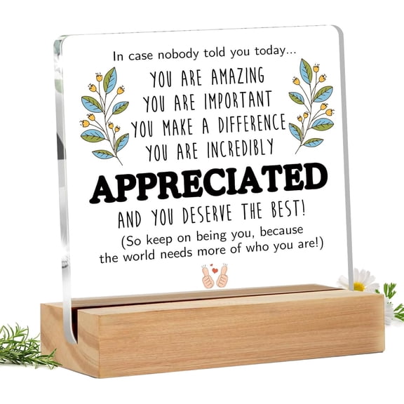 Inspirational Thank You Gifts for Women Men - Christmas Appreciation Gifts for Teacher,Coworkers,Teen,Nurse,Employee,Friend,Office,Pastor - Arcylic Christmas Ornaments 2025 Desk Decor