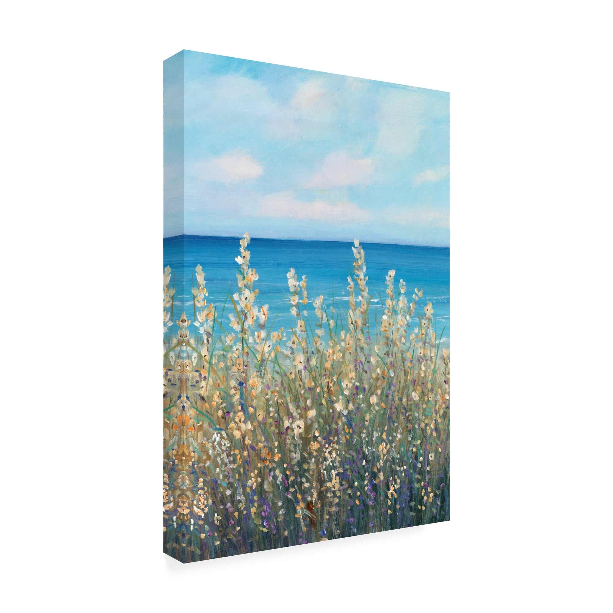 Trademark Fine Art 'Flowers at the Coast I' Canvas Art by Tim OToole
