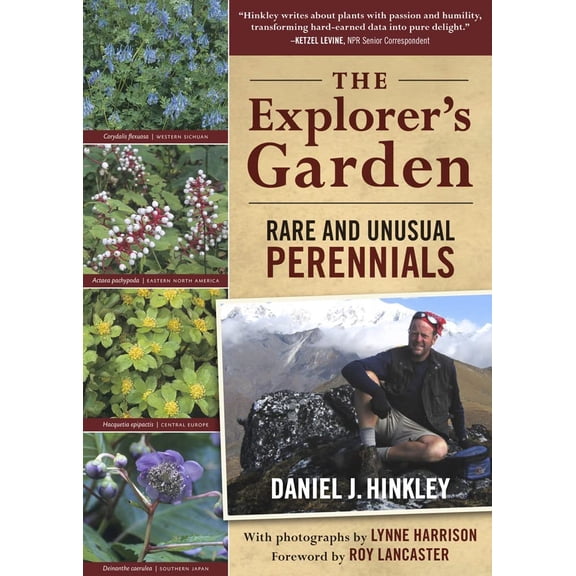 The Explorer's Garden : Rare and Unusual Perennials (Paperback)
