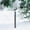 E❤36 inch, variant on Aufmer 36 inch Snow Gauge Outdoor with Thermometer,Snowflake Iron Art Snow Gauge for Yard,Large Metal Snowfall Measuring Stick Rain Gauge,Snow Depth Measure Ruler for Garden and Christmas Decoration