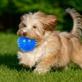 thumbnail image 3 of Durable TPR Squeaky Interactive Dog Toy Floating Chew for Aggressive Chewers and Water Play with Spiky Textured Design, 3 of 4