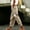 Beige women straight leg trousers a1, variant on Women's Straight Leg Trousers Elastic Waist Pants with Pockets Solid Casual Streetwear Ankle Length Travel Party Work Outfits, White M