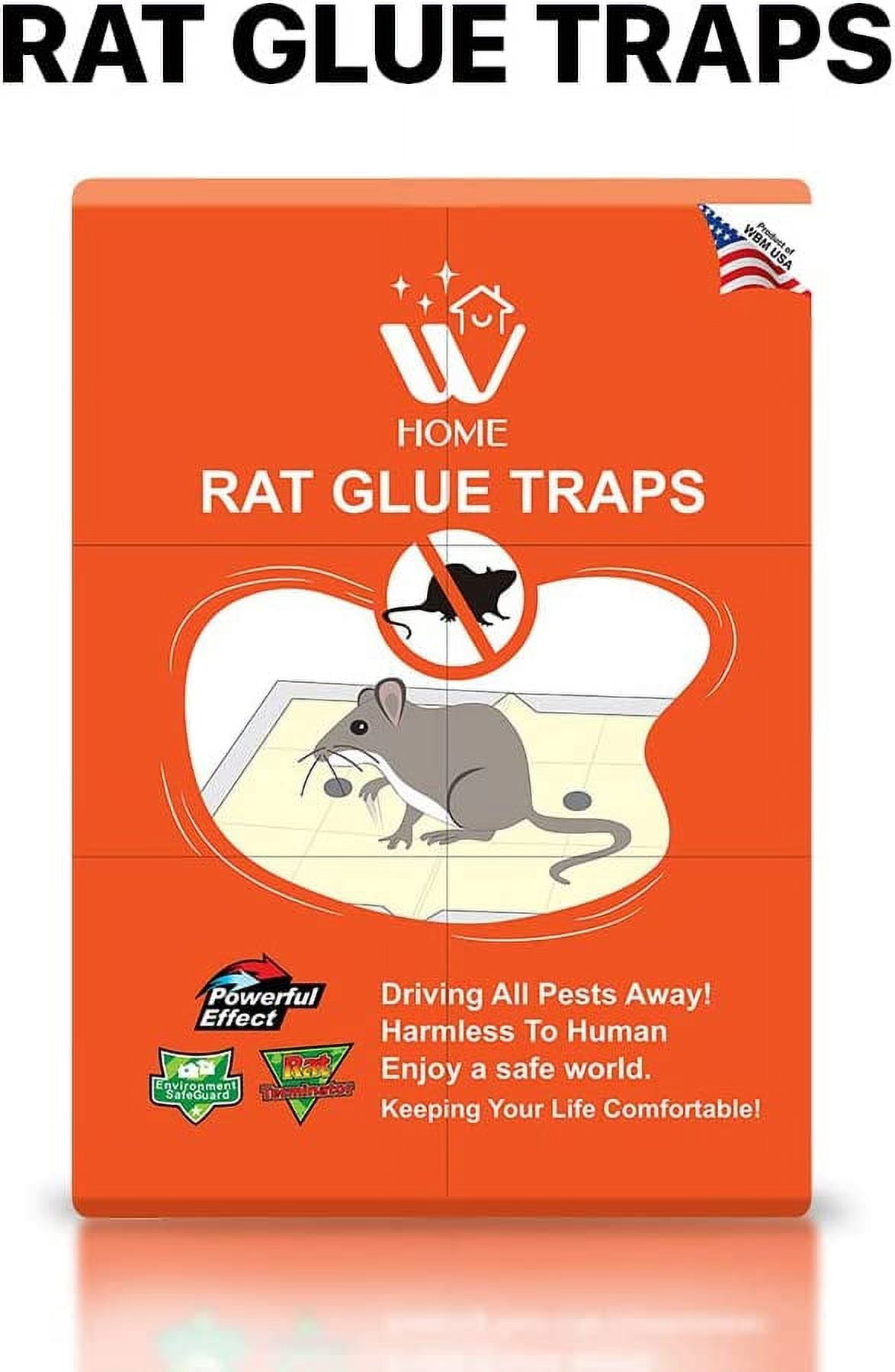 WBM Home Rat Pads, Enhanced Stickiness, Equipped with Protective Cover Glue Traps, 24 Count, Small