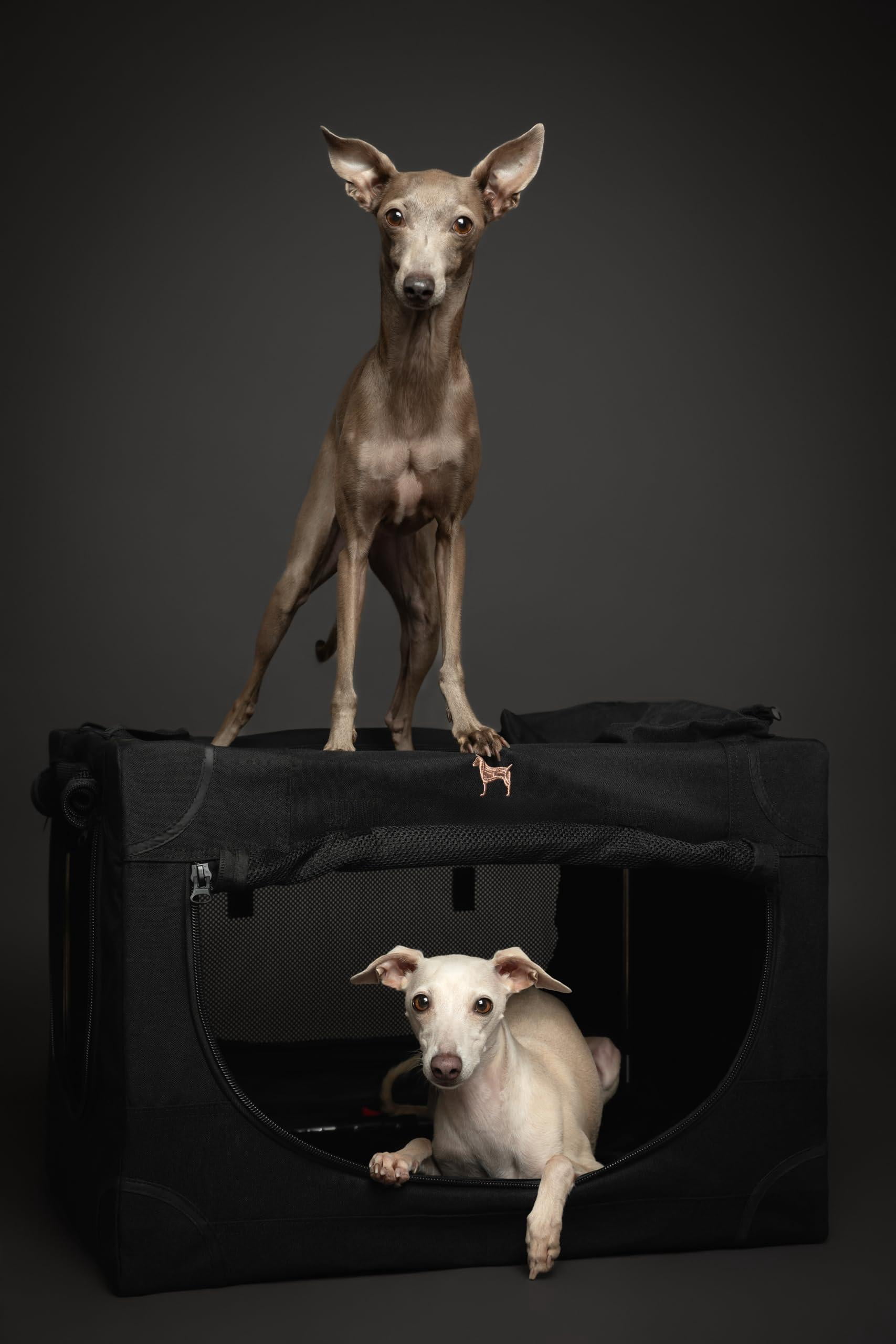 Collapsible Dog Crate 26 Inch  Small For Medium Breeds Travel Kennel Car Including Pet Mat Cage 2 Storage Pockets Handbag 10mm Locking Zipper 26 * 17 17