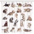 thumbnail image 1 of Cortina de ducha ABPHQTO gato juguetón poliéster 160x180 cm, 1 of 1