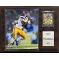 thumbnail image 1 of NCAA Football Troy Polamalu USC Trojans Player Plaque, 1 of 1