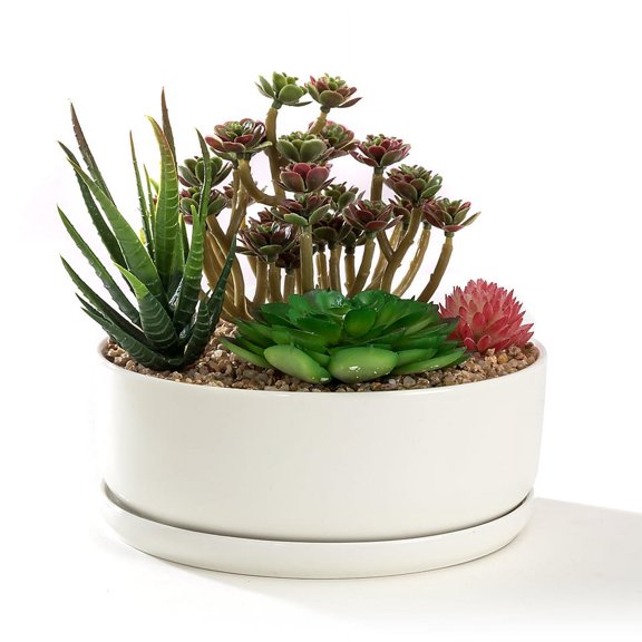 K-Cliffs 6.3 inch Round Minimalist White Ceramic Succulent Planter Pot Bowl Tub with Saucer