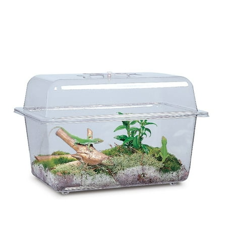 Aquarium/Terrarium, Plastic, Without Cover, 1 1/2 Gal
