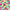 Multi Fruits, variant on Better Homes & Gardens 100% Cotton Butterfly Multi, 2 Yard Precut Fabric