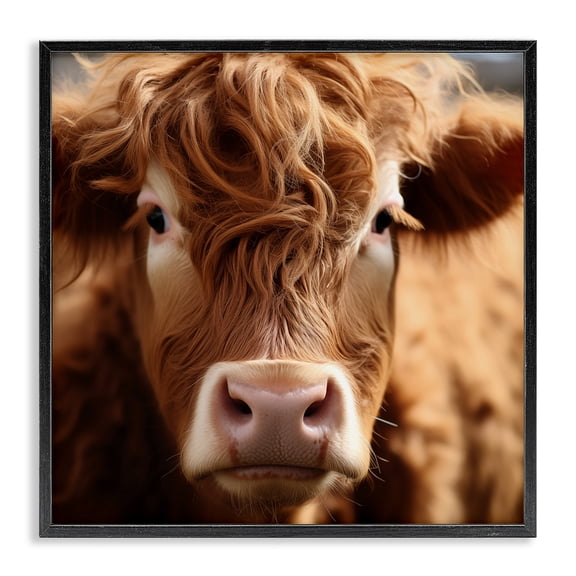 Stupell Industries Close Up Furry Cow Portrait Animals Photography Black Framed Art Print Wall Art, 12 x 12