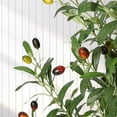 thumbnail image 3 of 6ft (72in) de altura faux olive tree con blanca planter y green fake moss para home, oficina, sala de estar, dormitorio, stairs, y foyer decor, 3 of 7
