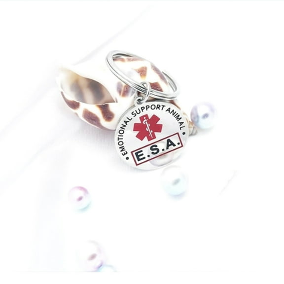 fankhu Stainless Steel Dog Tag Anti-Lost Pet Nameplate Personalized Creative Double-Sided Customized Exquisite Pet Dog Collar Accessories