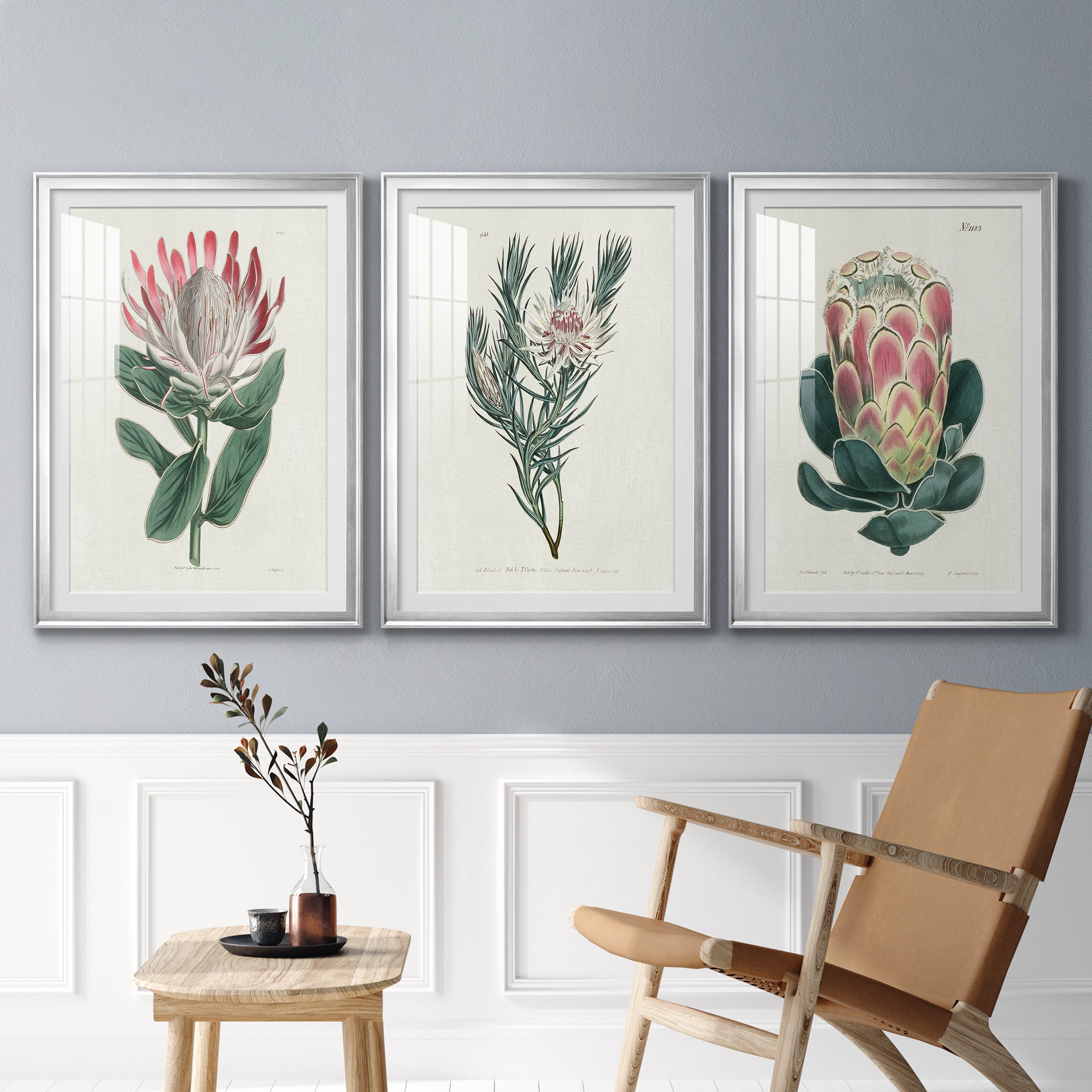 Protea N13 Premium Framed Prints Set of 3 - Ready to Hang - 26.5 x 36.5 Each - Silver Frame