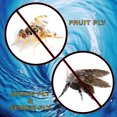 thumbnail image 2 of Fruit Fly & Drain Fly Killer - Simple & Safe Drain Gel Treatment – This Solution Eliminates Gross Fruit Flies, Drain Flies, Sewer Flies & Gnat Infestations From Any Drain. Fast & Easy (128 OZ GALLON), 2 of 6