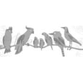 thumbnail image 3 of Paper Rose Dies-Australian Birds, 3 of 3