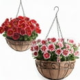 thumbnail image 5 of Ashman 16-Inch Metal Hanging Planter Basket with Coco Coir Liner, Round Wire Plant Holder, Indoor Outdoor, 4-Pack, 5 of 9