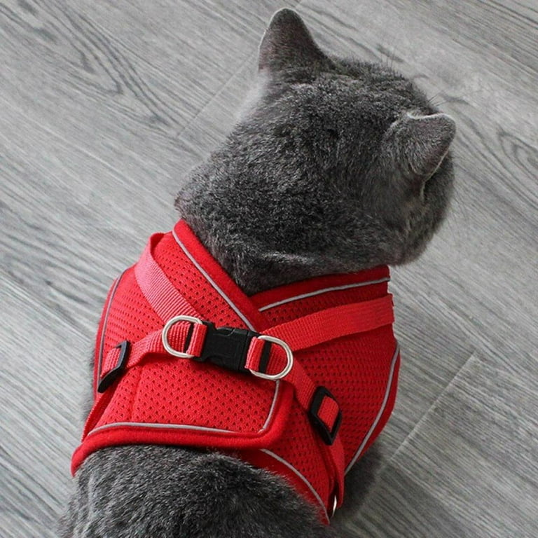 Chain dog leash chest harness Chain dog leash chest harness