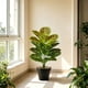 thumbnail image 1 of Artificial Potted Plants With Pot PVC Fake Tropical Plants Realistic Faux Plants For Home Office House Desk Shelf Living Room Kitchen Decoration, 1 of 6