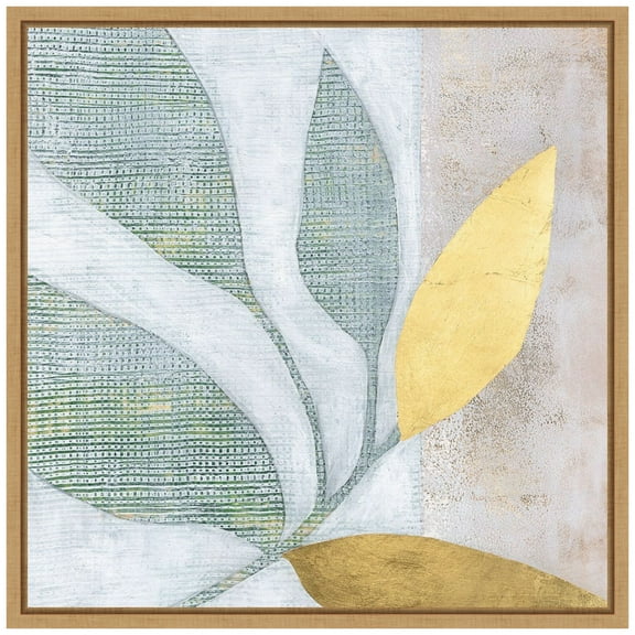 Amanti Art Veiled Garden I Framed Canvas Wall Art Print