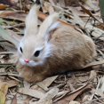 thumbnail image 1 of Clearance 15cm Realistic Cute Plush Rabbits Lifelike Animal Simulation Toy Birthday Gift for Kids, 1 of 1