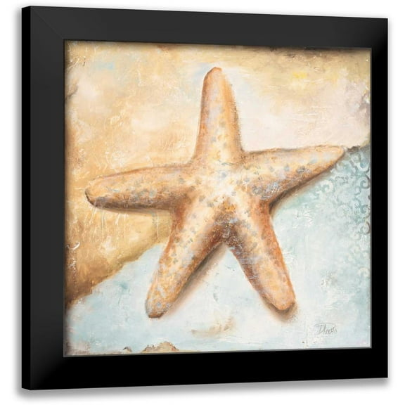 Pinto, Patricia 12x12 Black Modern Framed Museum Art Print Titled - Seashell Collection II