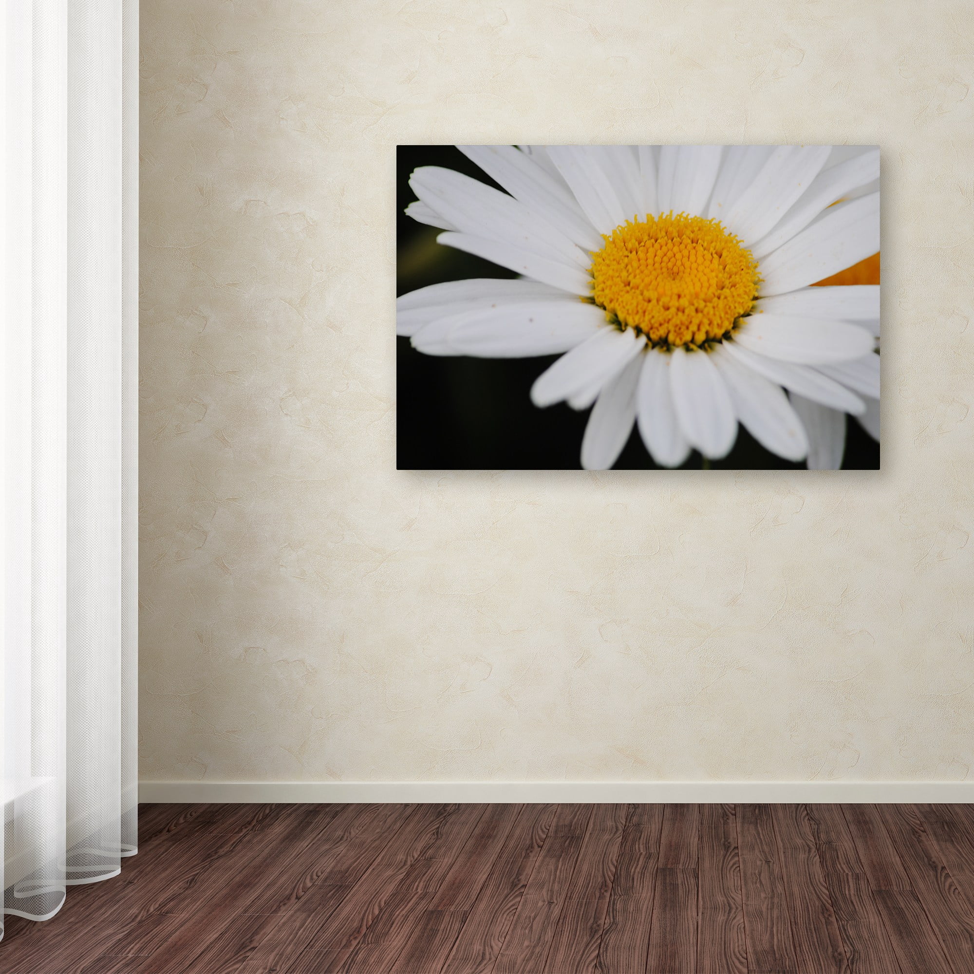 Trademark Fine Art "Sweet Splendor" Canvas Art by Monica Mize