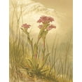 thumbnail image 2 of Vision Studio 12x14 Gold Ornate Wood Framed with Double Matting Museum Art Print Titled - Alpine Florals II, 2 of 4