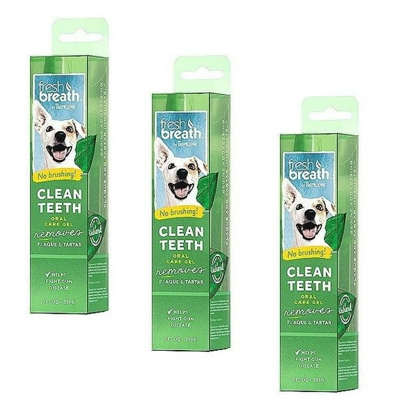 Fresh Breath Clean Teeth 2 oz Gel Oral Care for Dogs No Brushing Dental