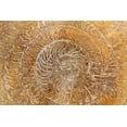 thumbnail image 2 of Mahan, Kathy 18x13 White Modern Wood Framed Museum Art Print Titled - San Miguel Fossils I, 2 of 4