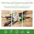 thumbnail image 3 of MAYJAM Pure Vanilla Essential Oil, 30ML, Therapeutic Grade, for use with Oil Diffusers, Potpourri, and Wicking Fragrance Diffusers, 3 of 9