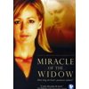 Pre-Owned Miracle of the Widow (DVD)