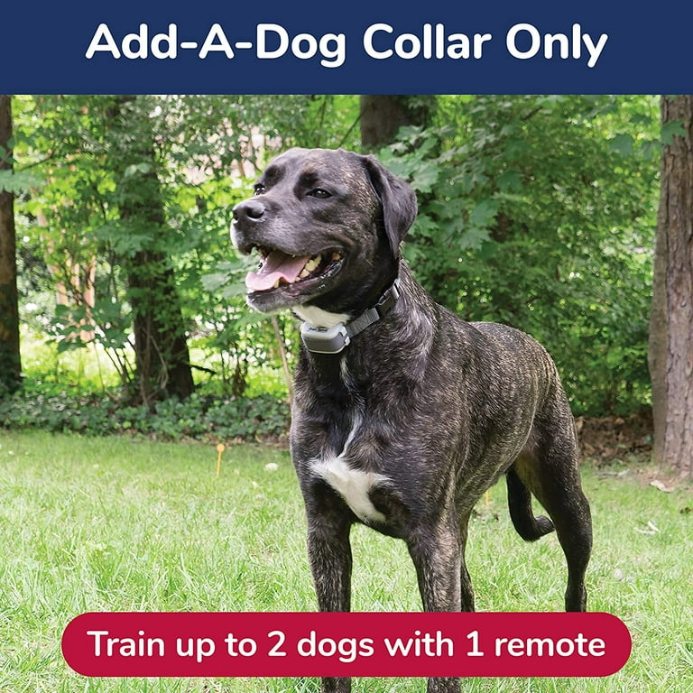 Free spirit remote trainer sale