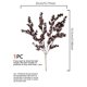 thumbnail image 3 of 1PC 53.5cm plastic simulation plant small handle 4 fork eucalyptus, 3 of 4