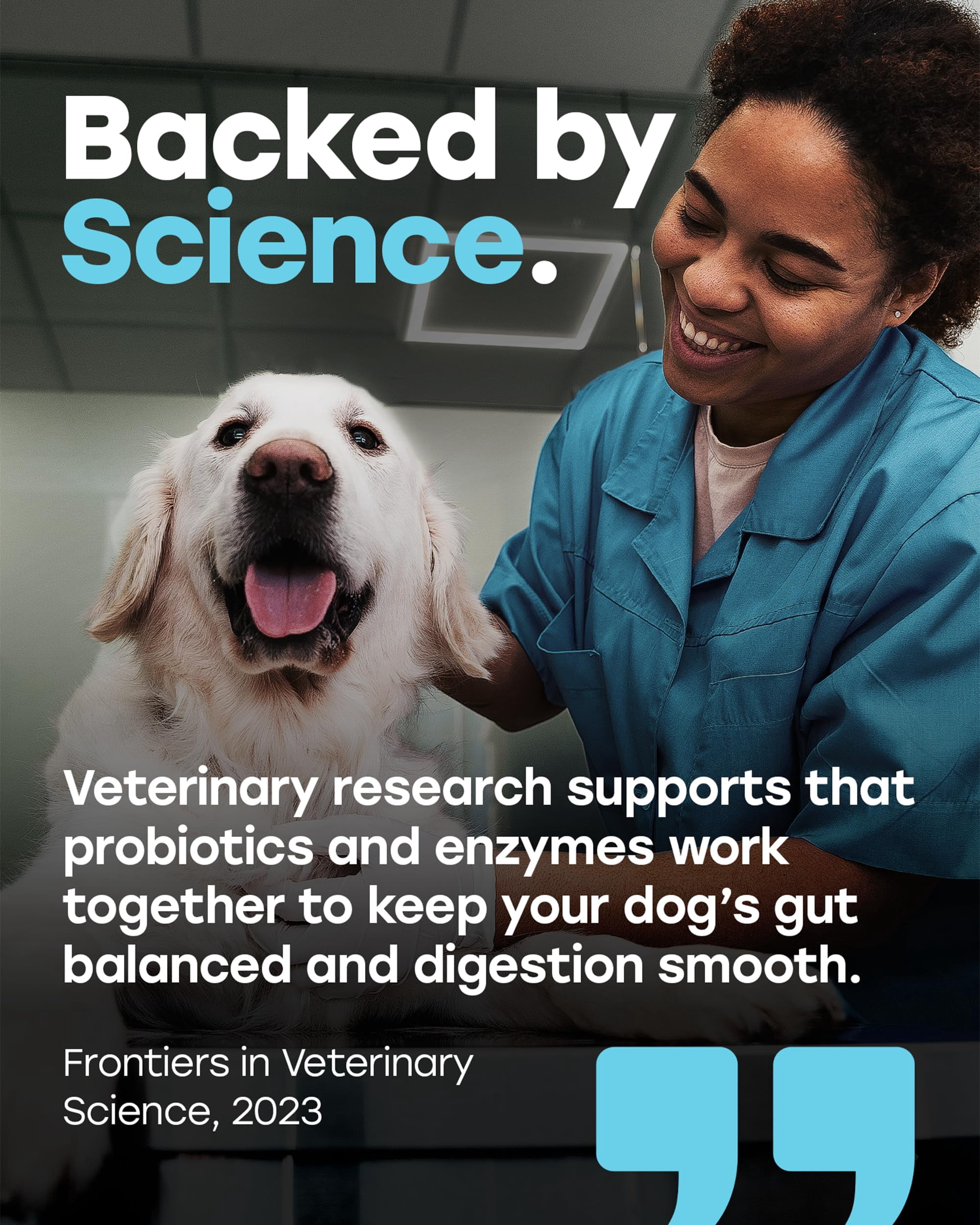 Pup Choice Probiotics for Dogs with Digestive Enzymes, Prebiotics, Fiber & Omega-3 – Gut Health & Digestion Support, Beef Flavor Soft Chews, 140 Count