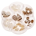 thumbnail image 1 of 1 caja de mini conchas marinas naturales, conchas de almeja para manualidades, conchas marinas decorativas, adornos de conchas naturales para decoraciones de acuarios y rellenos de jarrones, 1 of 7