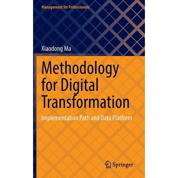 Management for Professionals Methodology for Digital Transformation: Implementation Path and Data Platform, (Hardcover)