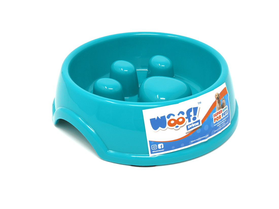 Woof! Prime Slow Feed Dog or Cat Bowl With Funny Paw Insert Small Size Green Color