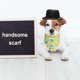 thumbnail image 4 of Bandana para perro con patas de estilo único, 2 bufandas cuadradas lavables para perros pequeños, medianos y grandes, 4 of 5