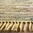 thumbnail image 3 of Safavieh Rag 10' X 14' Hand Woven Cotton Rug in Yellow, 3 of 3