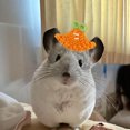 thumbnail image 1 of Adorable Hat for Small and Cats with Adjustable Strap Soft Breathable Outdoor, 1 of 4