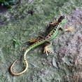 thumbnail image 3 of Lagarto artificial, indecolorable, vívido, colorido, reptil, lagartos, juguete, suministros para fiestas, azul, 3 of 5