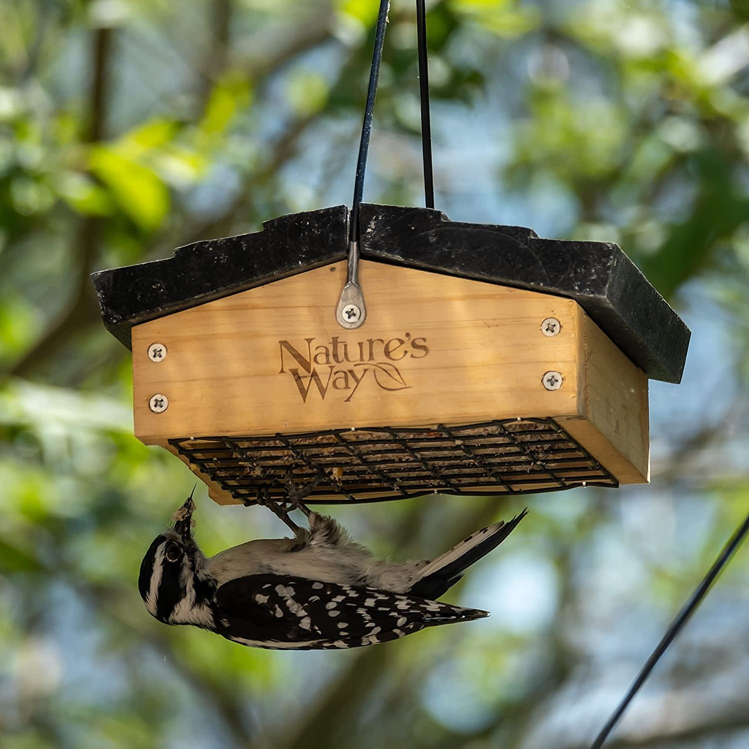 Nature's Way Bird Products Cedar Upside-Down 1-Cake Multi-Bird Suet Feeder, 1 lb Capacity