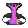 thumbnail image 5 of Lsque Rainbow Scales2 Dog Harness, No-Pull Pet Harness with 2 Leash Clips, Adjustable Soft Padded Dog Vest with Easy Control Handle for Large Dogs-Small, 5 of 9