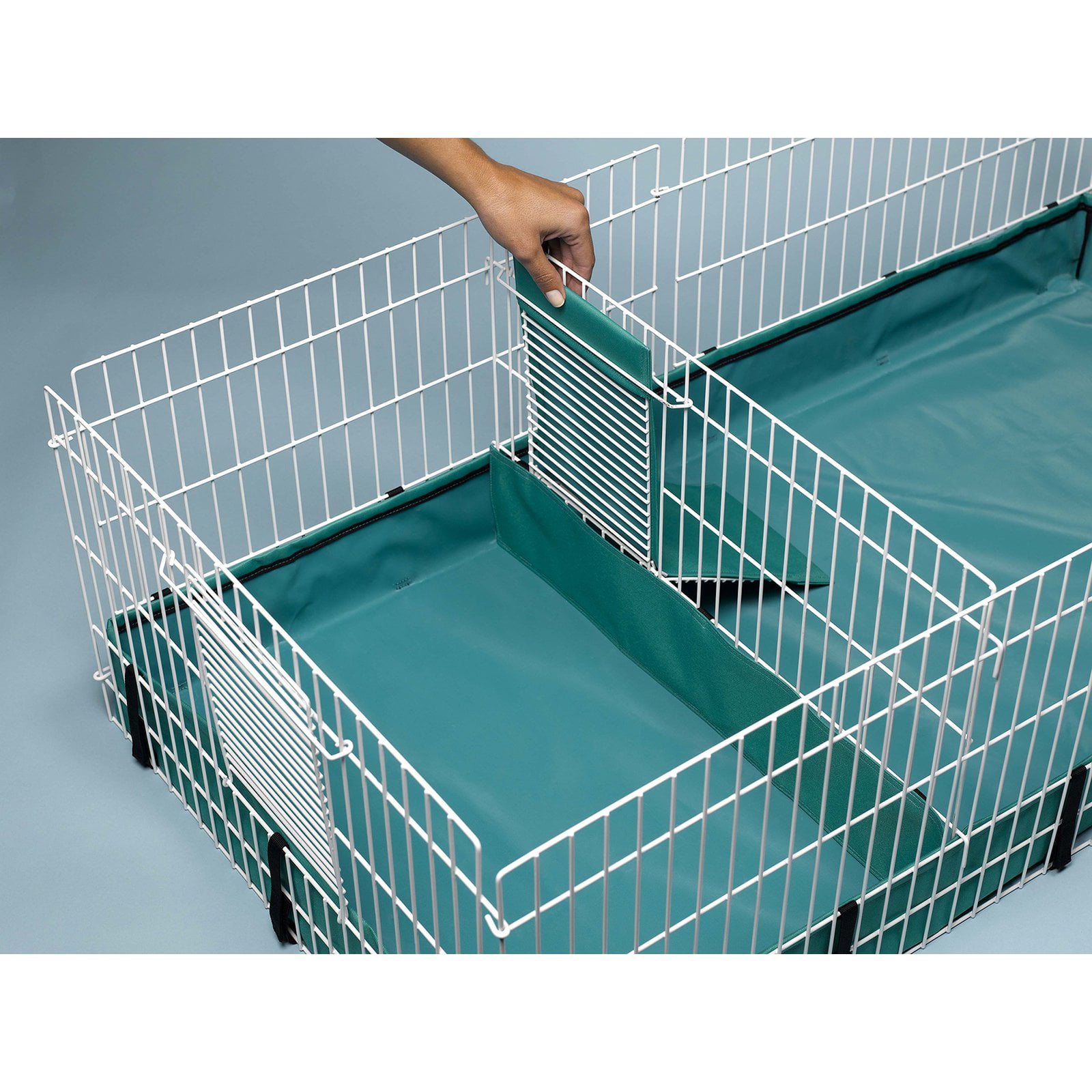 cage divider for guinea pigs