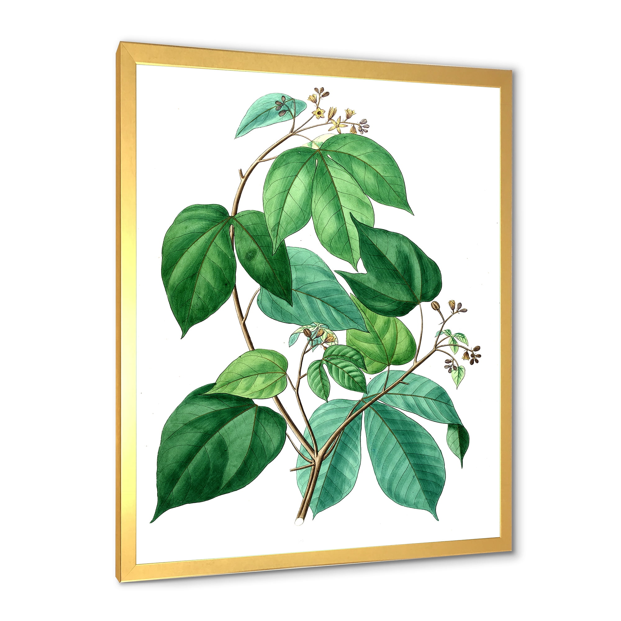 Designart 'Ancient Green Leaves Plants III' Traditional Framed Art Print