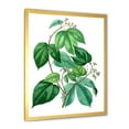 thumbnail image 2 of Designart 'Ancient Green Leaves Plants III' Traditional Framed Art Print, 2 of 4